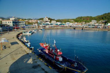 Sokcho, Güney Kore - 3 Kasım 2024: Daepo Limanı 'nda bulunan balıkçı tekneleri, deniz ürünleri restoranları ve dükkanlarla çevrili, sabah erken saatlerde hareketli bir manzara yaratıyor..