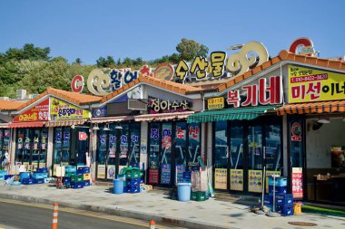 Sokcho, Güney Kore - 3 Kasım 2024: Daepo Limanı yakınlarında turistleri ve taze Kore deniz mahsulleri arayan yerli ve turistleri cezbeden renkli deniz ürünleri restoranları ve mağazaları.