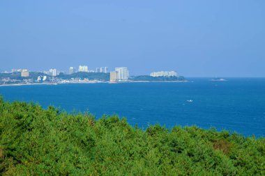 Yangyang İlçesi, Güney Kore - 3 Kasım 2024: Sokcho şehrinin kıyı şeridine Naksansa Tapınağı 'ndaki Avalokitesvara heykelinin yanından bakan, ön planda çam ormanları ve ötesinde Doğu Denizi olan.