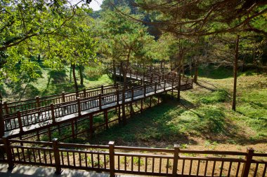 Yangyang County, South Korea - November 3rd, 2024: Wooden walkways surrounded by lush greenery lead visitors toward Naksansa Temple, offering a serene and shaded approach through the forest. clipart