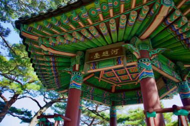 A close-up of Hajodae Pavilions vibrant wooden carvings and intricate traditional patterns, embodying Korean cultural heritage surrounded by pine trees. clipart