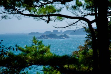 Yangyang County, South Korea - November 3, 2024: A scenic view looking south from Hajodae Pavilion towards Jodo Island, framed by pine trees with the shimmering East Sea and distant coastal landscape. clipart