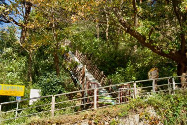 Yangyang İlçesi, Güney Kore - 3 Kasım 2024: Yoğun yeşilliklerle çevrili manzaralı ahşap bir merdiven, yürüyüş ve doğa keşfi için popüler bir nokta olan Jukdo Dağı 'nın patikalarına çıkar..