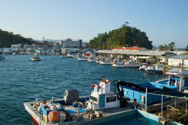 Yangyang İlçesi, Güney Kore - 3 Kasım 2024: Namae Limanı 'nda deniz ürünleri pazarı ve limanı kaplayan yerel işletmelerle rıhtıma yanaşmış balıkçı tekneleri sergilenen canlı bir sahne.