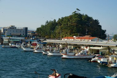 Yangyang İlçesi, Güney Kore - 3 Kasım 2024: Namae Limanı 'ndaki balıkçı tekneleri, yemyeşil çam ağaçları ve deniz hareketleriyle dolu geleneksel bir köy limanı..