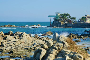 Yangyang İlçesi, Güney Kore - 3 Kasım 2024: Dalgalar Namae Port Skywalk Gözlemevi yakınlarındaki engebeli kayalık kıyı şeridine çarpıyor..