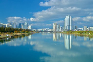 Ulsan, Güney Kore - 14 Kasım 2024: Taehwa Nehri 'nin gökyüzünü yansıtan manzarası, bulutlu bir gökyüzü altında yüksek binalar ve sonbahar yapraklarının bir karışımını gösteriyor.