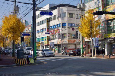 Jeungpyeong İlçesi, Güney Kore - 10 Eylül 2020: Jeungpyeong İlçesi şehir merkezindeki hareketli bir sokak manzarası, yollarda, yerel işletmelerde ve geçen araçlarda, ginkgo ağaçlarının sonbahar yaprakları ile birlikte.