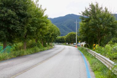 Goesan İlçesi, Güney Kore - 9 Eylül 2020: Toprak boyunca uzanan sakin bir kırsal yol, yemyeşil ağaçlarla kaplı ve arka planda kayan dağlarla çerçevelenmiş..