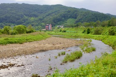 Goesan County, Güney Kore - 10 Eylül 2020: Seonghwang Stream 'in dolambaçlı bir bölümü, arka planda ormanlık tepeler ve kırsal alanda yavaşça akan yeşil benekli kayalık bir nehir yatağını ortaya çıkardı..
