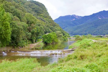 Goesan County, Güney Kore - 10 Eylül 2020: Yeşilliklerle çevrili, arka planda dağlar ve kırsal kesimi birbirine bağlayan sarı bir köprü ile kırsal bir dere üzerinde küçük bir Weir usulca çağlıyor..