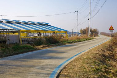 Cheongju Şehri, Güney Kore - 11 Kasım 2020: Ocheon bisiklet yolunun yanında mavi ve sarı çatılı bir sığır çiftliği, virajlı bir yol, elektrik direkleri ve bisiklet uyarı levhası manzarası.