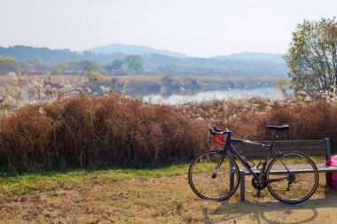 Cheongju, South Korea - November 12, 2020: A road bike leans against a bench near the river, surrounded by golden autumn reeds and a misty backdrop of rolling hills and distant buildings. clipart