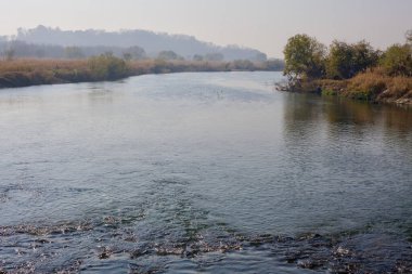 Cheongju Şehri, Güney Kore - 11 Kasım 2020: Ocheon Bisiklet Yolu boyunca Bogang Stream 'in sakin manzarası, gökyüzünü yansıtan durgun su, yemyeşil nehir kıyıları ve arka planda sisli tepeler.