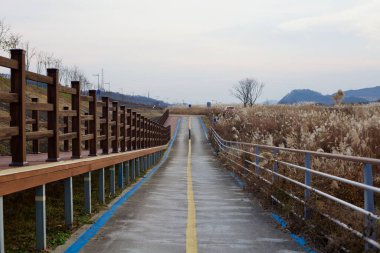 Daejeon, Güney Kore - 12 Kasım 2020: Geum Nehri boyunca sakin bir bisiklet yolu oluşturan yüksek ahşap bir kaldırım boyunca uzanır..