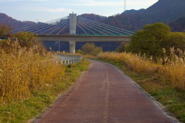 Sonbahar otlaklarından geçen asfalt bir bisiklet yolu, Geum Nehri 'ni kaplayan ve kablo destekli modern bir yapı olan Buyong Köprüsü' ne doğru esiyor. Köprü, bölgelerdeki kilit rotaları birleştirir..