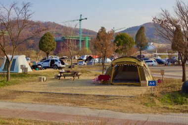 Sejong City, South Korea - November 12, 2020: A lively campsite at Hapgang Park, where families and outdoor enthusiasts set up tents and gather for a weekend getaway. Construction cranes in the background mark the city's ongoing development. clipart