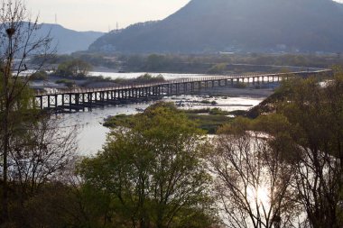 Sejong City, Güney Kore - 12 Kasım 2020: Geum Nehri boyunca uzanan uzun tahta bir köprü yemyeşil çimlerin arasında manzaralı bir geçiş sunuyor. Sakin sular öğleden sonra güneşinin yumuşak ışığını yansıtır..