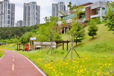 Sejong City, Güney Kore - 27 Mayıs 2021: Yabani çiçeklerle kaplı bisiklet yolu bisikletçilerin bisiklet pasaportlarını Geumgang Bisiklet Yolu boyunca damgalayabilecekleri Sejong-bo Sertifika Merkezi 'ne çıkıyor. Yüksek binalar güzergâha bakıyor..