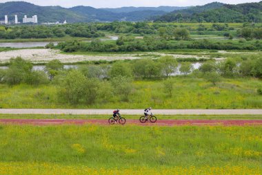 Sejong City, South Korea - May 27, 2021: Two cyclists ride along the Geumgang Bike Path, passing through a landscape of lush greenery and wildflowers with the Geum River in the background. clipart