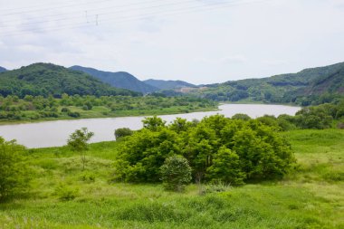 Sejong Şehri, Güney Kore - 27 Mayıs 2021: Geum Nehri 'nin yeşil tepeler ve yoğun bitki örtüsü boyunca uzanan manzarası, bölgenin doğal güzelliğini ve çeşitli ekosistemini vurguluyor.