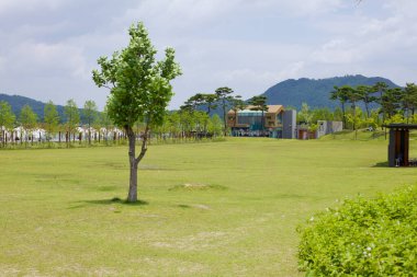 Sejong Şehri, Güney Kore - 26 Mayıs 2021 Sejong Gölü Parkı 'nda, çevresi yeşilliklerle çevrili, modern bir pavyon ve uzak dağlarla çevrili, açık bir dinlenme alanı açık hava aktiviteleri için huzurlu bir ortam sağlıyor..