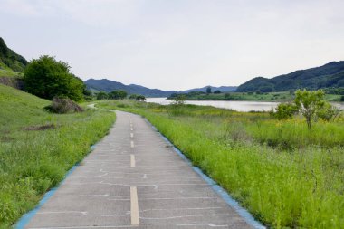 Çevresindeki yabani otlar ve sarı çiçeklerle çevrili Geum Irmağı 'nı takip eden dolambaçlı bir bisiklet yolu manzaralı kırsal bölgede huzurlu bir gezinti sunuyor..