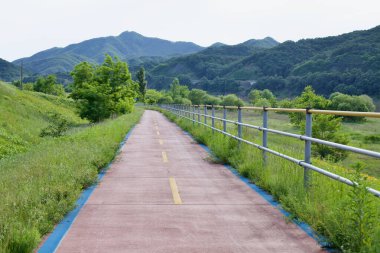 Gongju, Güney Kore - 27 Mayıs 2021: Bereketli yeşillikler ve uzak dağlarla çevrili Geum Nehri boyunca uzanan barışçıl bir bisiklet yolu bisikletçiler ve açık hava meraklıları için manzaralı bir rota sağlıyor..