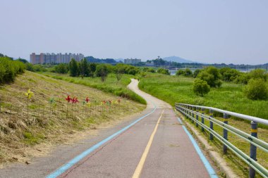 Buyeo İlçesi, Güney Kore - 27 Mayıs 2021: Renkli fırıldak sıralı bisiklet yolu, yemyeşil, yüksek binalar ve arka planda Geum Nehri ile Buyeo City 'ye doğru gider..