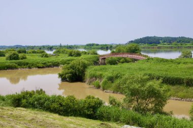 Buyeo İlçesi, Güney Kore - 27 Mayıs 2021: Tahta bir yaya köprüsü Geum Nehri 'nin yemyeşil ve sulak alanlarla çevrili küçük bir kolundan geçerek bisiklet yolu boyunca manzaralı bir nokta sunar..