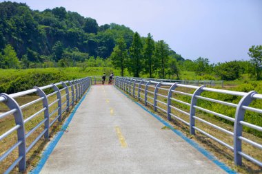 İki bisikletçi Ocheon Bisiklet Yolu 'nda, verimli yeşillikler ve parlak bir yaz gününde yuvarlanan tepelerle çevrili özel bir köprü boyunca yol alırlar..