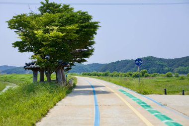 Iksan Şehri, Güney Kore - 28 Mayıs 2021: Geum Nehri boyunca uzanan ve gezginlere gölge sunan, büyük bir ağacın altında geleneksel bir ahşap barınak sunan özel bir bisiklet ve yaya yolu.