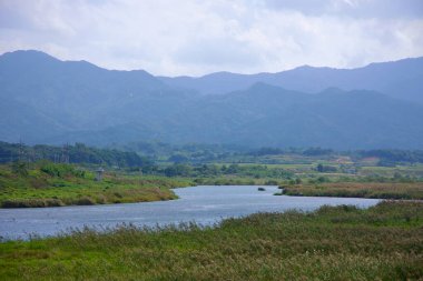 Namwon Şehri, Güney Kore - 3 Ekim 2021: Seomjin Nehri yemyeşil sulak alanlarda, arka planda sisli dağlar ve suyun üzerinde süzülen bir kuş sürüsüyle dolanıyor..