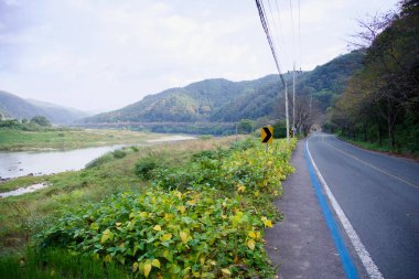 Gurye İlçesi, Güney Kore - 3 Ekim 2021 Seomjin Nehri 'ni çevreleyen bir yol takip ediyor, ağaçlar ve sarı işaretlerle kaplı, bölgenin kırsal güzelliklerini keşfeden bisikletçiler ve gezginler için sakin bir rota sunuyor..