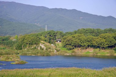 Gurye İlçesi, Güney Kore - 3 Ekim 2021: Seomjin Nehri 'ne tepeden bakan yemyeşil ağaçların arasına kurulmuş geleneksel bir Kore pavyonu..