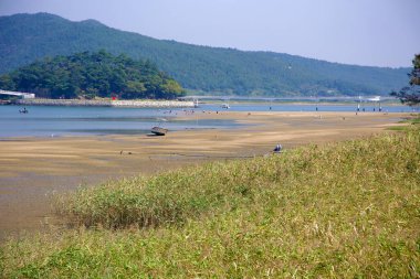 Gwangyang, Güney Kore - 3 Ekim 2021: Ziyaretçiler Baealdo Rıhtım Parkı 'ndaki gelgit düzlüklerinde ıslak kumda karaya oturmuş bir tekneyle geziyorlar. Arka planda, yaya köprüsü parkı yakındaki adalara bağlıyor..