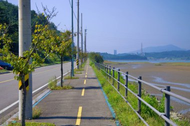Taein Adası 'ndaki yola paralel uzanan özel bir bisiklet ve yaya yolu, Seomjin Nehri' nin gelgit düzlükleri ve uzak şehir manzarası manzarası sunuyor..