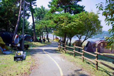 Gwangyang, South Korea - October 3rd, 2021: Campers relax along the tree-lined bike path at Baealdo Waterfront Park, with tents set up near the Seomjin River. The park offers a scenic and peaceful retreat for outdoor enthusiasts. clipart