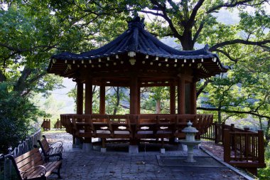 Gwangyang Şehri, Güney Kore - 3 Ekim 2021: Geleneksel bir Kore ahşap pavyonu, veya jeongja, yemyeşil ağaçların arasına kurulmuş, ahşap banklar ve karmaşık çatı detayları ile gölgeli bir dinlenme yeri sunuyor..