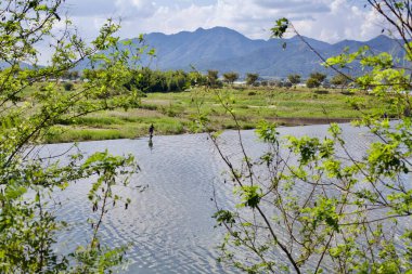 Damyang İlçesi, Güney Kore - 23 Eylül 2020: Bir balıkçı Yeongsangang Nehri 'ne doğru yürüdü, sakin sularda kendi hattını çizdi, arka planda uzanan dağlarla dolu canlı yeşil yapraklarla çerçevelendi..