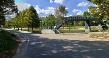 Damyang İlçesi, Güney Kore - 24 Eylül 2020: Gwanbangcheon deresi boyunca uzanan 2 km uzunluğundaki tarihi Gwanbangje Ormanı, su yollarını kontrol etmek için dikilmiş asırlık ağaçlara ev sahipliği yapıyor..