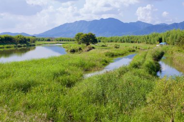 Damyang İlçesi, Güney Kore - 23 Eylül 2020 Yeongsan Nehri boyunca uzanan yemyeşil sulak arazi etrafındaki bambu ormanlarını ve bulutlu bir gökyüzünün altındaki uzak dağları yansıtır..