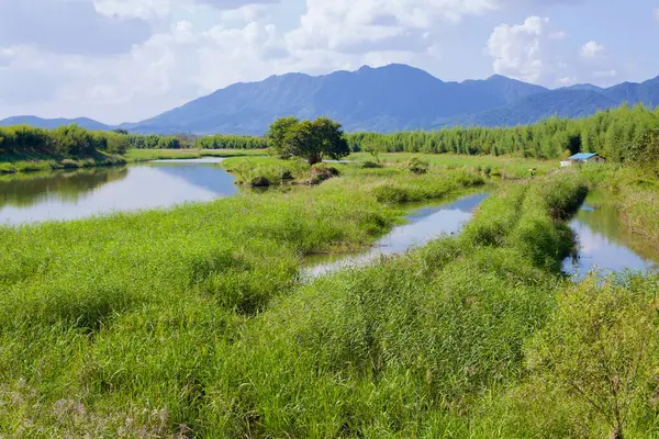 Damyang İlçesi, Güney Kore - 23 Eylül 2020 Yeongsan Nehri boyunca uzanan yemyeşil sulak arazi etrafındaki bambu ormanlarını ve bulutlu bir gökyüzünün altındaki uzak dağları yansıtır..