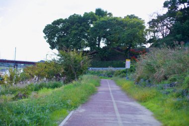 Gwangju Şehri, Güney Kore - 24 Eylül 2020 Pungyeong Jeong Pavyonu 'na manzaralı bir yaklaşım, Yeongsan Nehri boyunca 16. yüzyıldan kalma tarihi bir yer. Çadır, Konfüçyüs bilginlerinin toplanma yeriydi ve kültürel bir dönüm noktasıydı.
