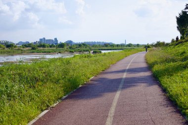 Gwangju Şehri, Güney Kore - 24 Eylül 2020 Yeongsangang Bisiklet Yolu boyunca bir bisikletçi, nehri takip ederek şehrin ufuk çizgisine doğru gider. Asfaltlı yol yemyeşil bir alanda esiyor, manzaralı ve huzurlu bir bisiklet deneyimi sunuyor..