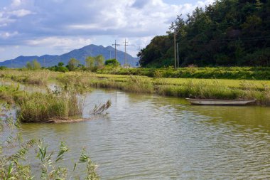 Muan County, Güney Kore - 25 Eylül 2020: Otlak nehir kıyısı boyunca uzanan küçük bir ahşap tekne rüzgarda sallanıyor, uzak dağlar ve elektrik hatları kırsal alana derinlik katıyor.
