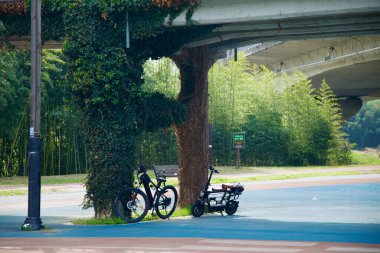 Bir bisiklet ve elektrikli scooter, yakınlardaki Simnidae bambu ormanının gölgesinde bulunan Taehwa Nehri üstgeçidinin altındaki sarmaşık kaplı köprüye yaslanıyor..