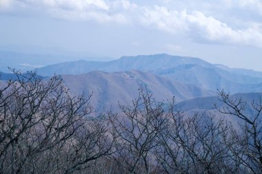 Ulsan Şehri, Güney Kore - 2 Nisan 2025 Yeongnam Alpleri 'nin katmanlı manzarası yapraksız ağaç dallarının ötesine uzanır, yumuşak mavi çıkıntılar bulutlu bir yay gökyüzünün altındaki mesafeye doğru çekilir..
