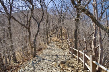 Ulsan City, Güney Kore - 2 Nisan 2025: Gajisan 'ın tepesi boyunca ağaçlardan oluşan bir orman boyunca uzanan ahşap çitlerle kaplı bir çakıl yolu, yürüyüşçülere berrak manzaralar ve sessiz bir çevre sunuyor..
