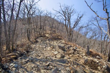 Ulsan Şehri, Güney Kore - 2 Nisan 2025 Gajisan 'ın üst yamaçlarındaki yapraksız ağaçların arasından geçen dik ve taşlarla kaplı bir patika Yeongnam Alpleri sırtına tırmanan yürüyüşçülere meydan okuyor..